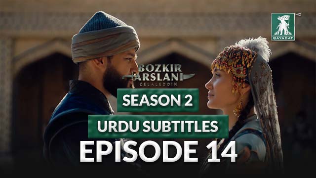 Episode 14 Urdu Subtitles