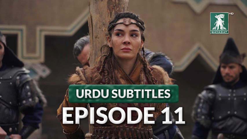 Episode 11 Urdu Subtitles