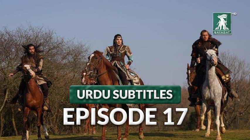 Episode 17 Urdu Subtitles